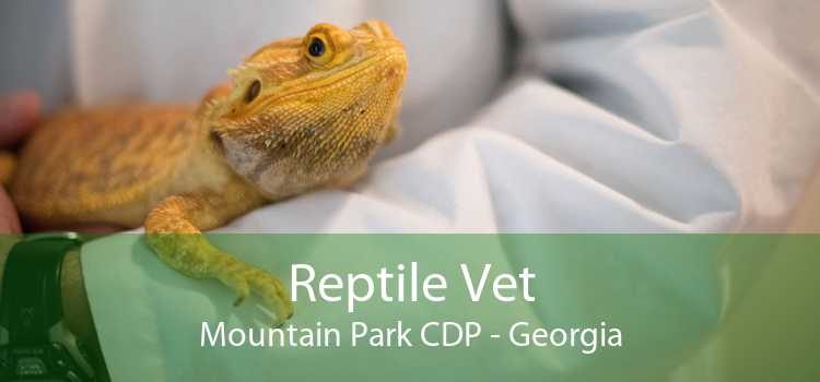 Reptile Vet Mountain Park CDP - Georgia