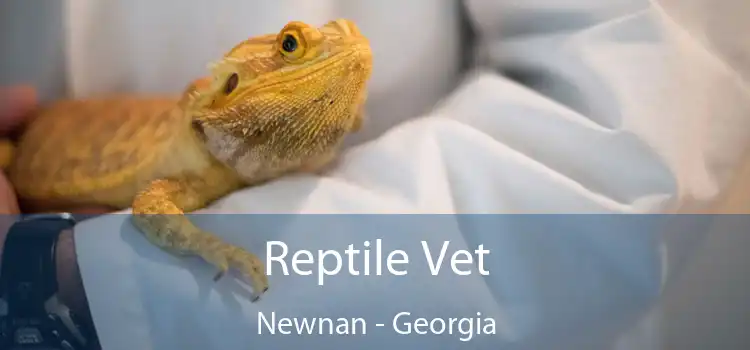 Reptile Vet Newnan - Georgia