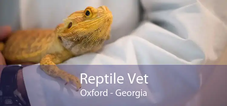 Reptile Vet Oxford - Georgia