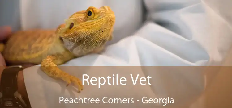 Reptile Vet Peachtree Corners - Georgia