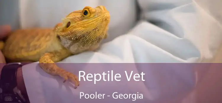 Reptile Vet Pooler - Georgia