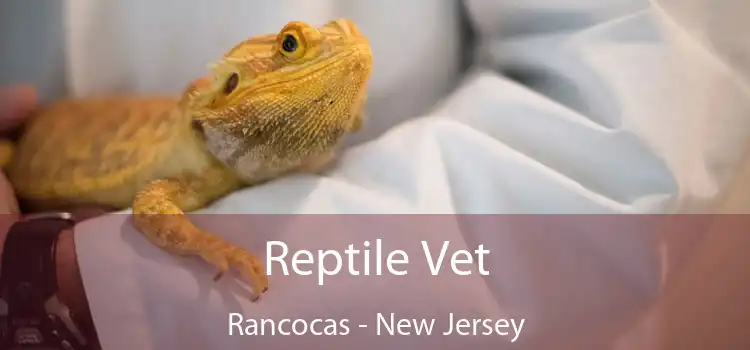 Reptile Vet Rancocas - New Jersey