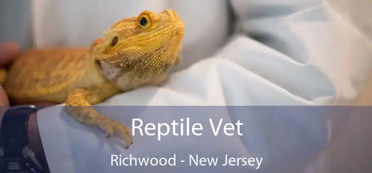 Reptile Vet Richwood - New Jersey