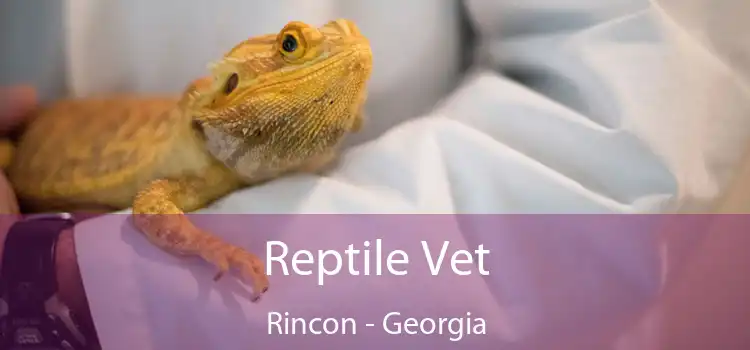 Reptile Vet Rincon - Georgia