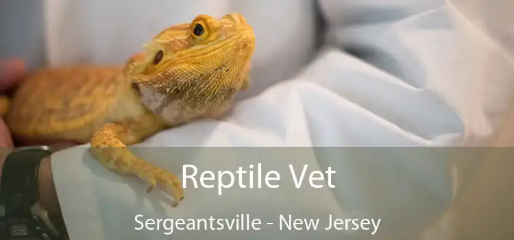 Reptile Vet Sergeantsville - New Jersey