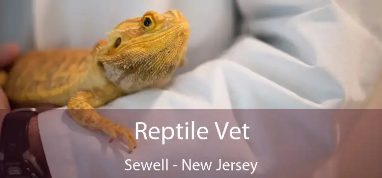 Reptile Vet Sewell - New Jersey