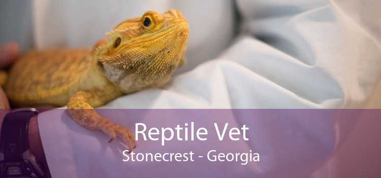 Reptile Vet Stonecrest - Georgia
