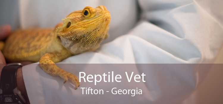 Reptile Vet Tifton - Georgia