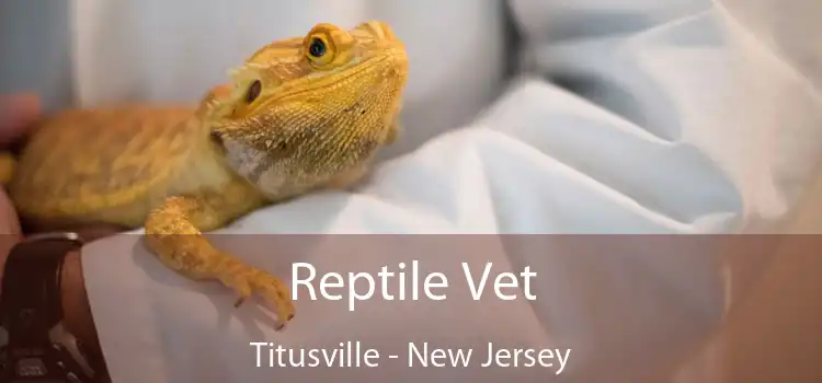 Reptile Vet Titusville - New Jersey