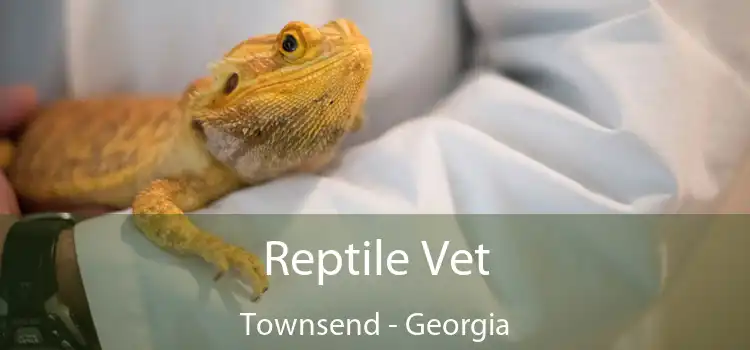 Reptile Vet Townsend - Georgia