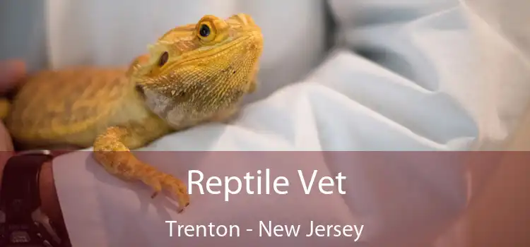 Reptile Vet Trenton - New Jersey