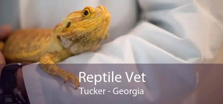 Reptile Vet Tucker - Georgia