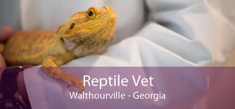 Reptile Vet Walthourville - Georgia