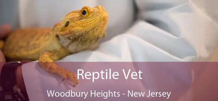 Reptile Vet Woodbury Heights - New Jersey