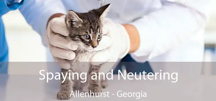 Spaying and Neutering Allenhurst - Georgia