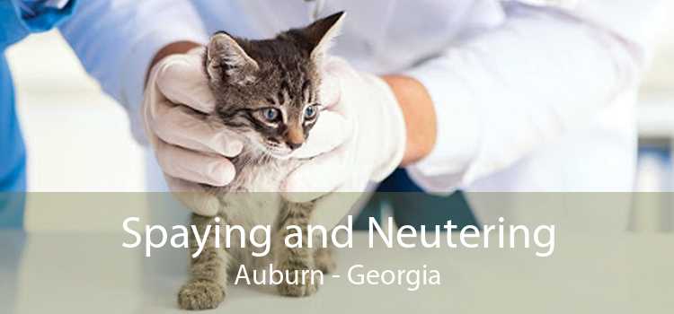 Spaying and Neutering Auburn - Georgia