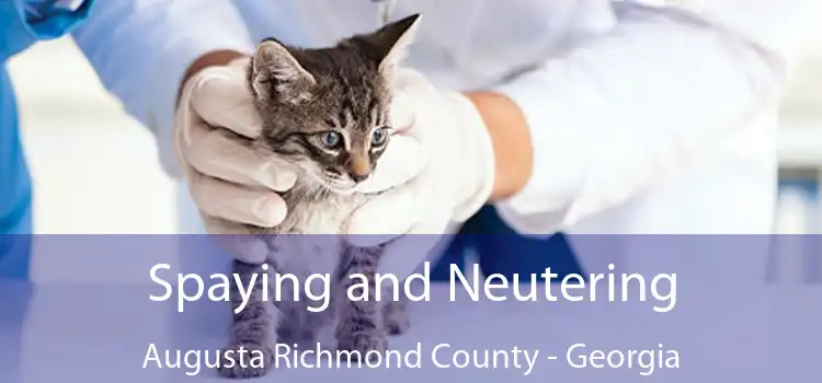 Spaying and Neutering Augusta Richmond County - Georgia