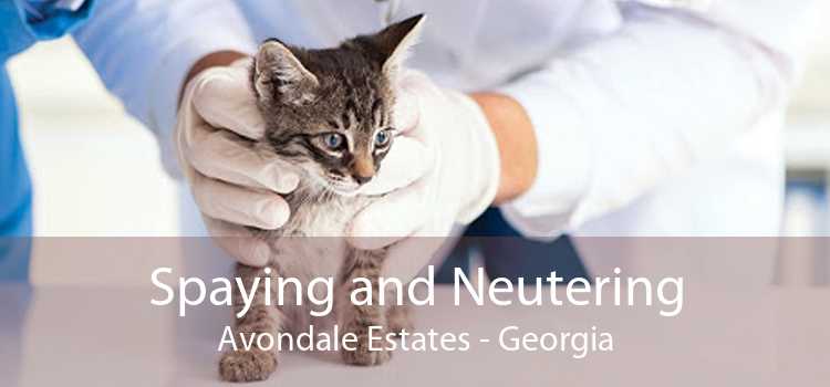 Spaying and Neutering Avondale Estates - Georgia