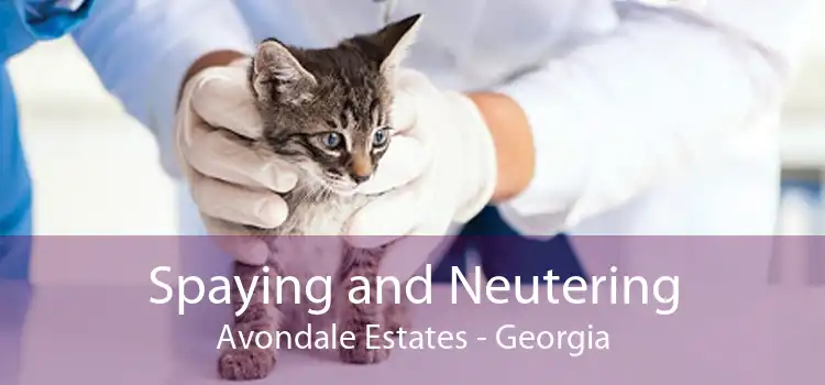 Spaying and Neutering Avondale Estates - Georgia