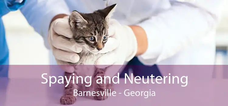 Spaying and Neutering Barnesville - Georgia