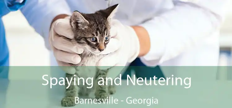 Spaying and Neutering Barnesville - Georgia