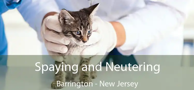 Spaying and Neutering Barrington - New Jersey