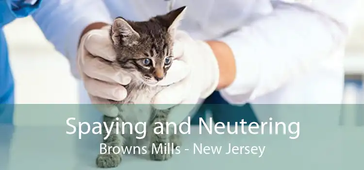 Spaying and Neutering Browns Mills - New Jersey