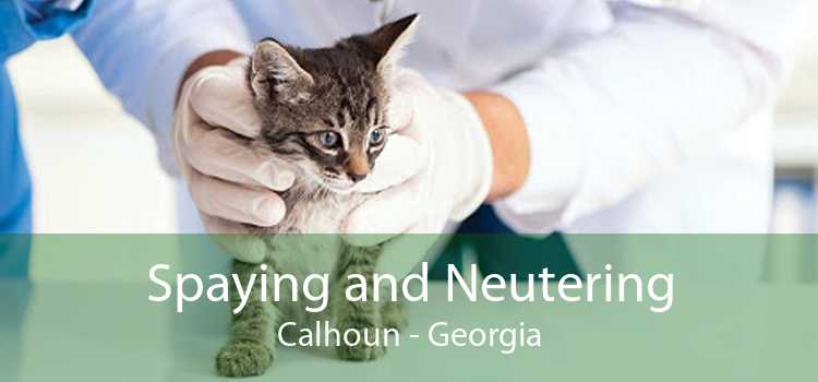 Spaying and Neutering Calhoun - Georgia