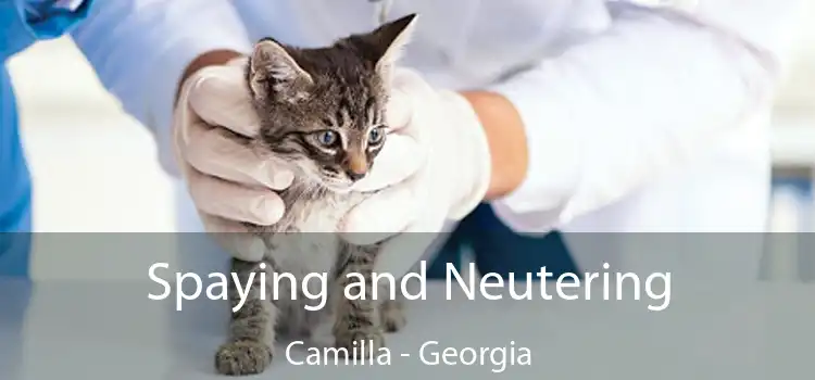 Spaying and Neutering Camilla - Georgia