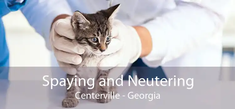 Spaying and Neutering Centerville - Georgia
