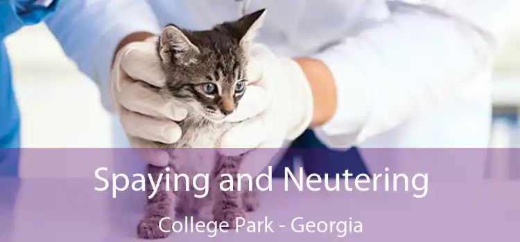 Spaying and Neutering College Park - Georgia