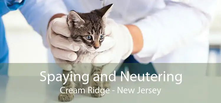 Spaying and Neutering Cream Ridge - New Jersey