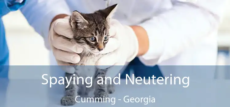 Spaying and Neutering Cumming - Georgia