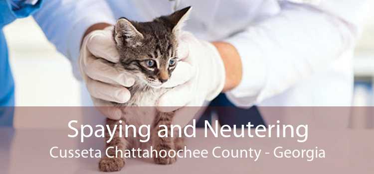 Spaying and Neutering Cusseta Chattahoochee County - Georgia