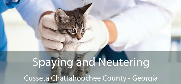 Spaying and Neutering Cusseta Chattahoochee County - Georgia