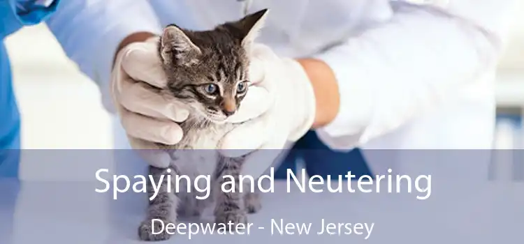 Spaying and Neutering Deepwater - New Jersey