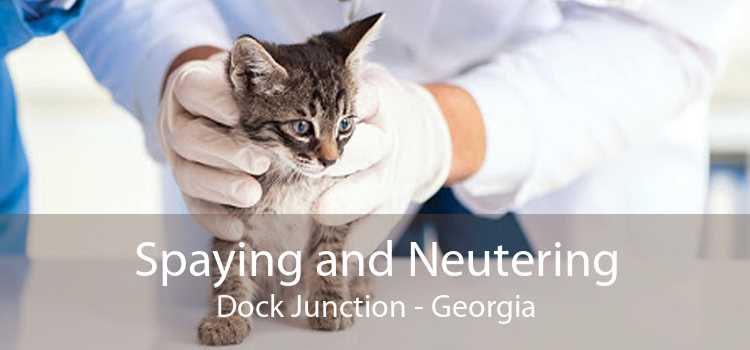 Spaying and Neutering Dock Junction - Georgia