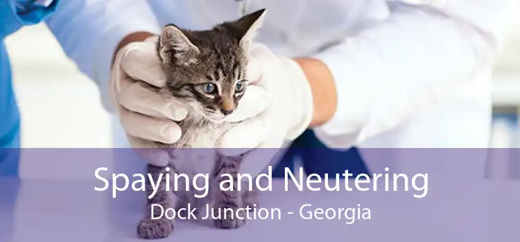 Spaying and Neutering Dock Junction - Georgia