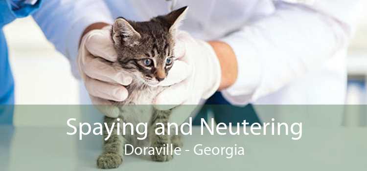 Spaying and Neutering Doraville - Georgia