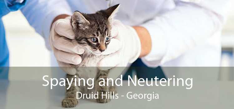 Spaying and Neutering Druid Hills - Georgia