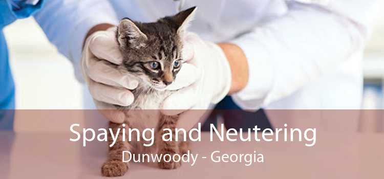 Spaying and Neutering Dunwoody - Georgia