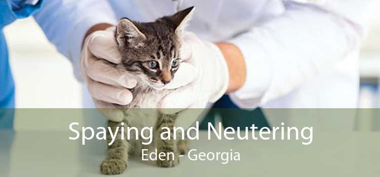 Spaying and Neutering Eden - Georgia
