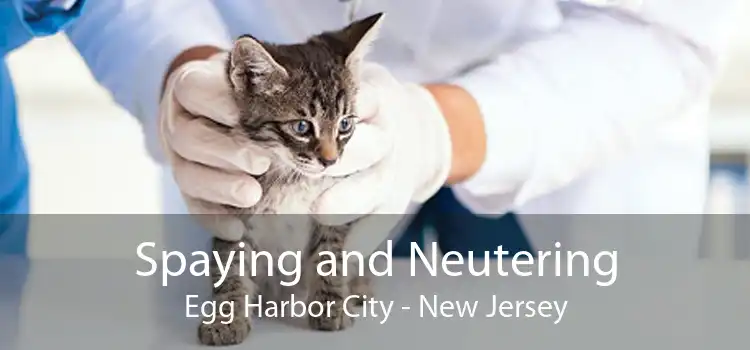 Spaying and Neutering Egg Harbor City - New Jersey