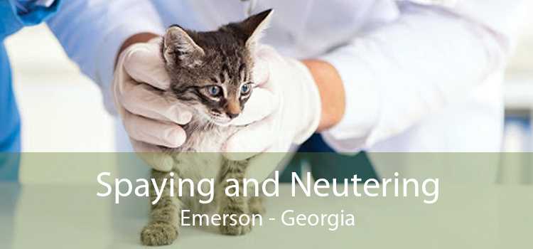 Spaying and Neutering Emerson - Georgia