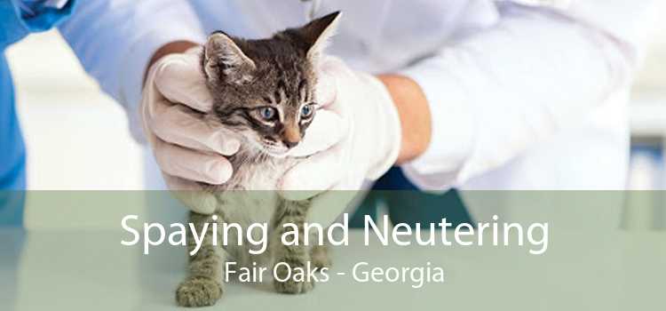 Spaying and Neutering Fair Oaks - Georgia