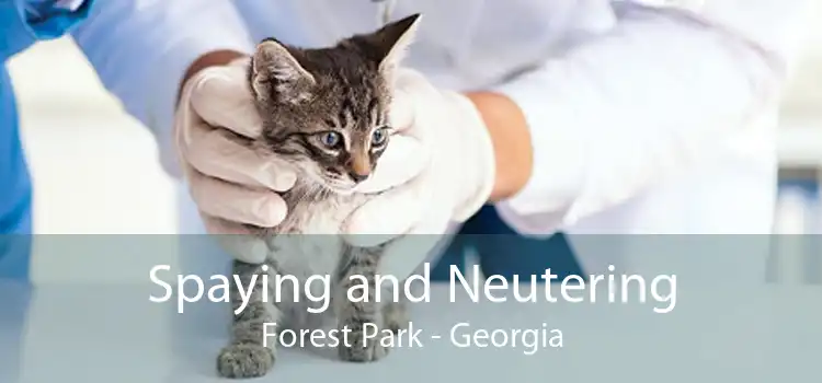 Spaying and Neutering Forest Park - Georgia