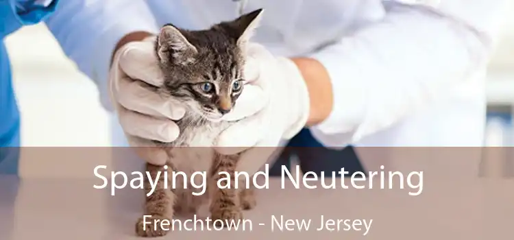 Spaying and Neutering Frenchtown - New Jersey