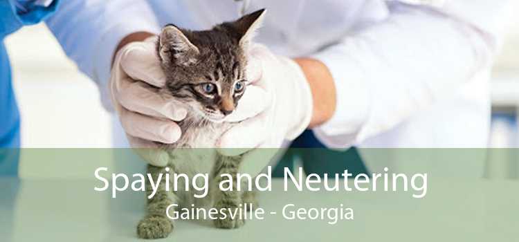 Spaying and Neutering Gainesville - Georgia