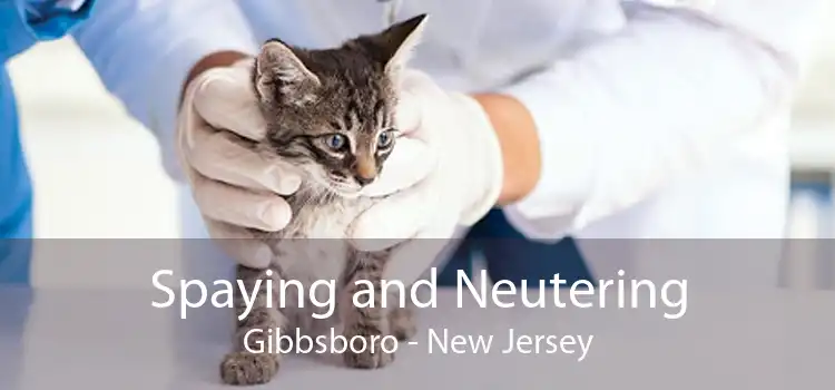 Spaying and Neutering Gibbsboro - New Jersey