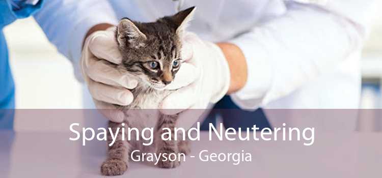 Spaying and Neutering Grayson - Georgia